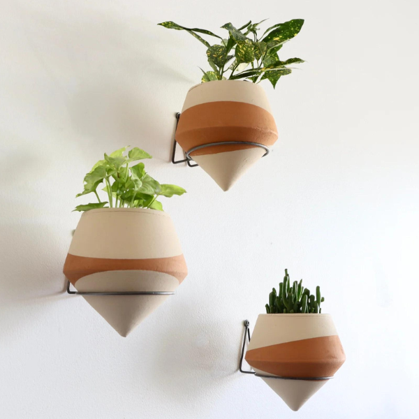 20 OFF All Urban Greenhouse 🌿 Holistic Habitat