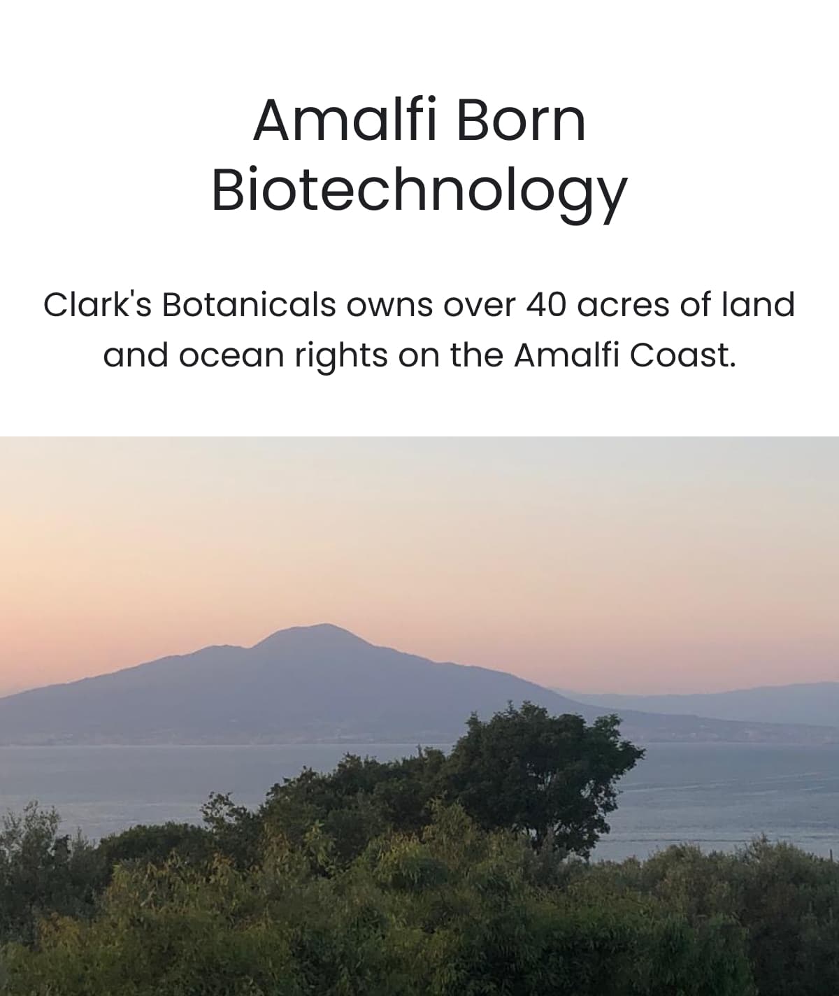 Amalfi Born Biotechnology