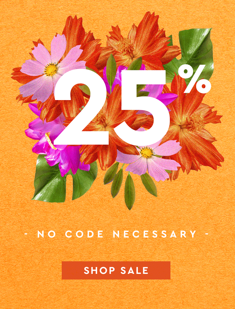 25% Off, no code necessary!
