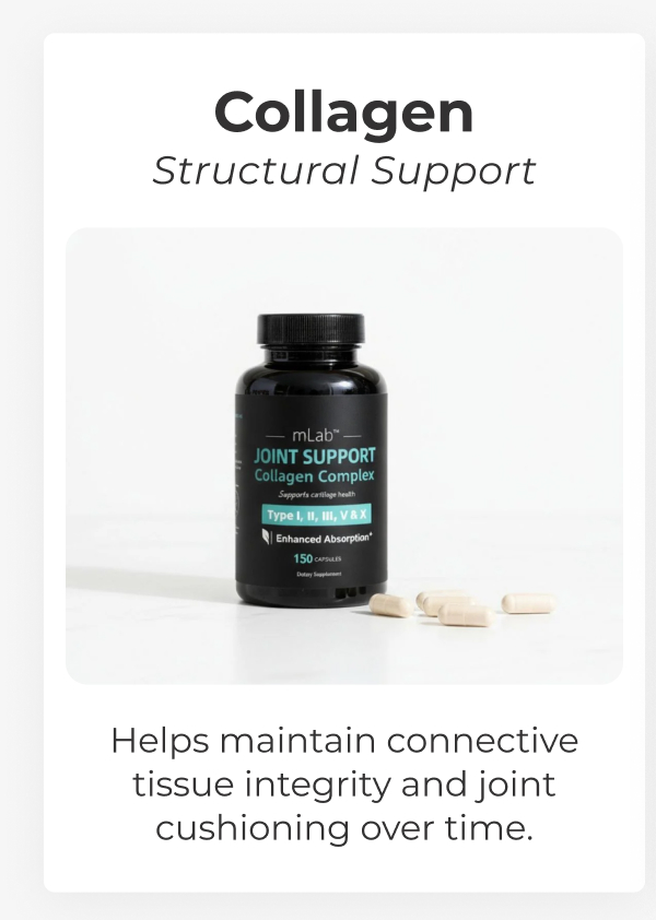 Collagen Structural Support Helps maintain connective tissue integrity and joint cushioning over time.