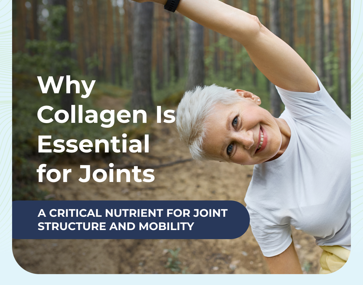 Why Collagen Is Essential for Joints A critical nutrient for joint structure and mobility