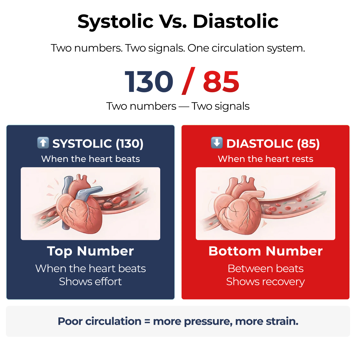Systolic vs. Diastolic Two numbers. Two signals. One circulation system.  130 / 85 Two numbers — Two signals ⬆️ SYSTOLIC (130) ⬇️ DIASTOLIC (85) When the heart beats When the heart rests Top Number Bottom Number When the heart beats Shows effort Between beats Shows recovery Review Title Review Title Poor circulation = more pressure, more strain.