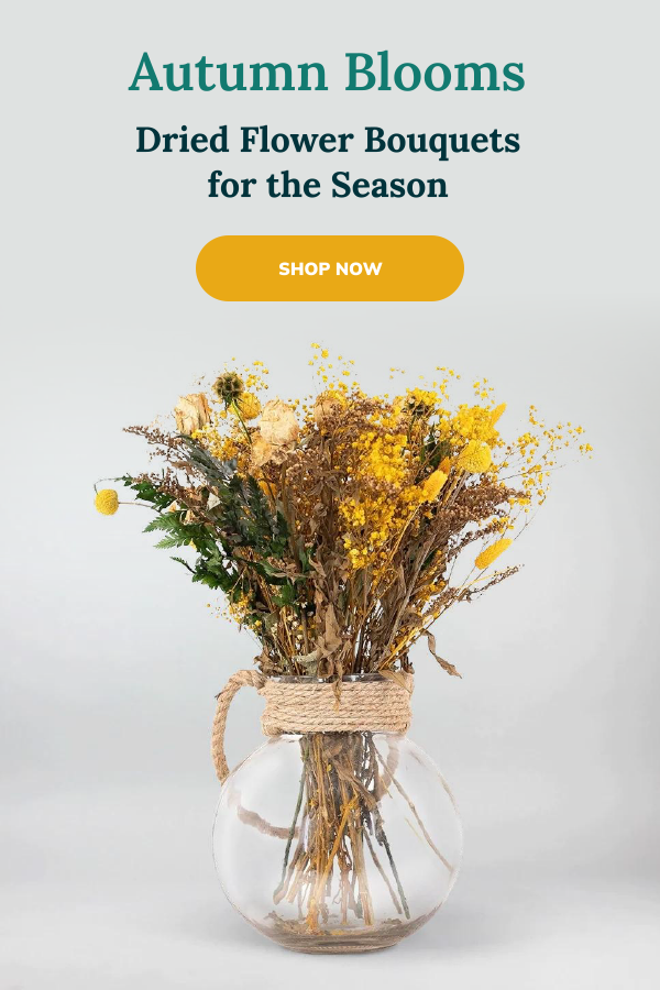 Preserved Petals Dried Flower Bouquets Delivered to You Bloom Box Club