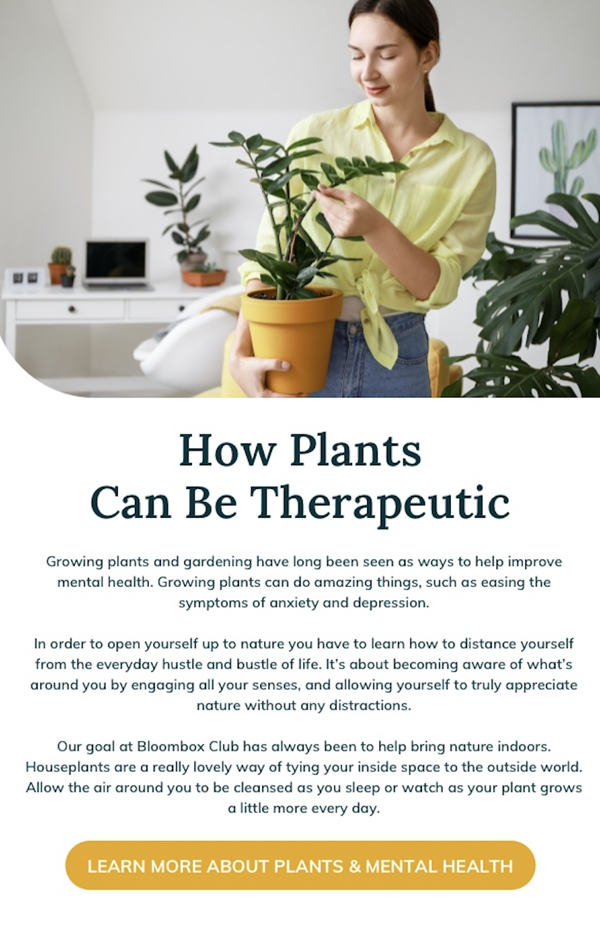 Can Plants improve mental health? Bloom Box Club
