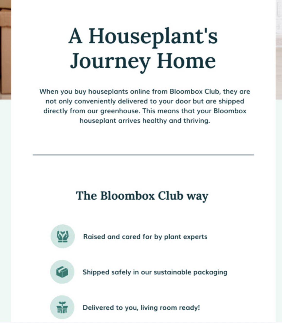 A HOUSEPLANTS journey… Bloom Box Club