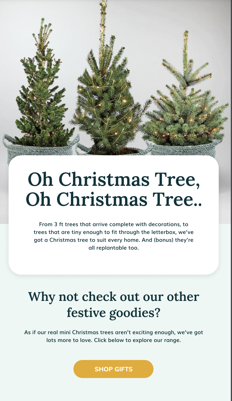 Give yourself something you really want this Christmas… 🎄 Bloom Box Club