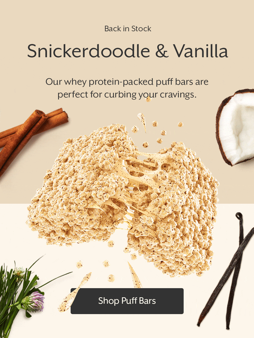 Snickerdoodle and Vanilla Protein Puff Bars are back in stock! Promix