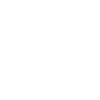 100% Authenticity Guaranteed