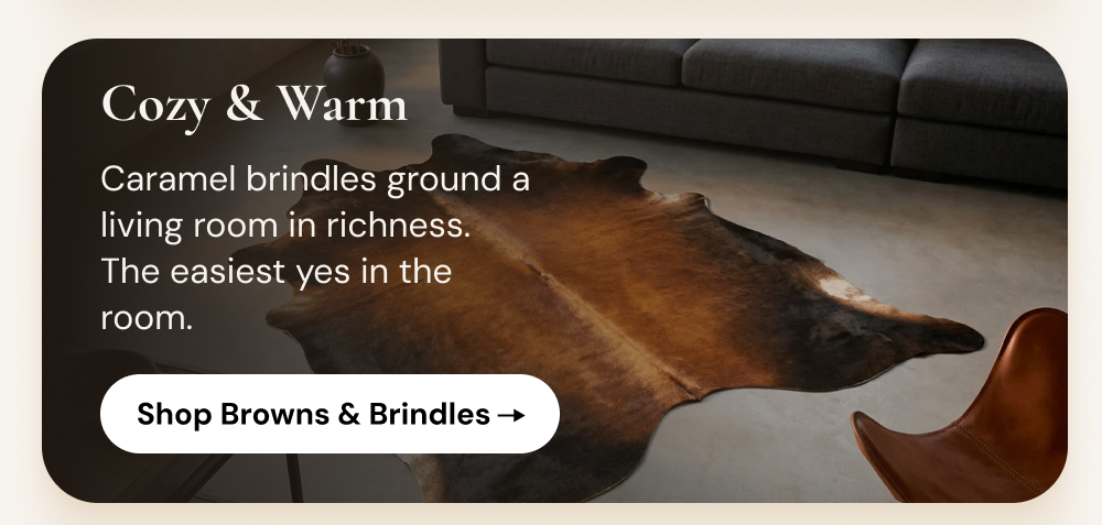 Cozy & Warm