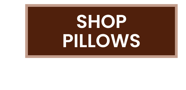 Shop Pillows