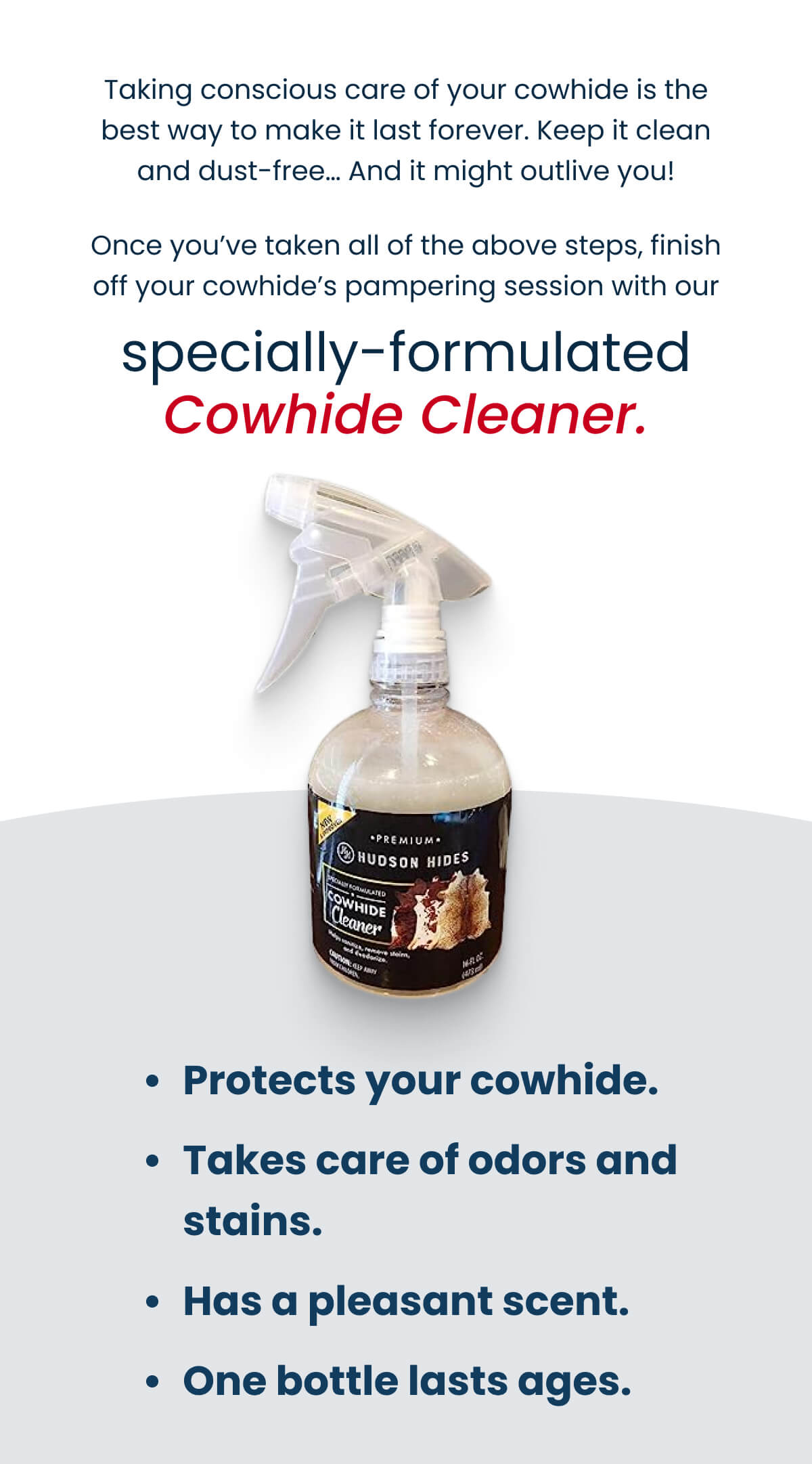 Did You Know…? 👉🏼 Cowhides Direct