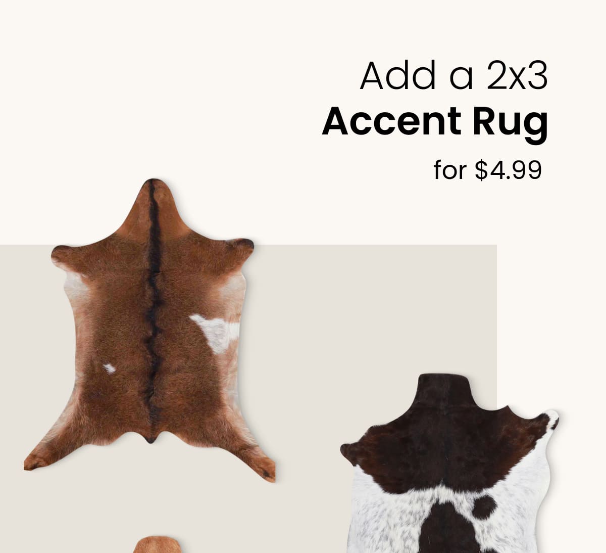 Add a 2x3 Accent Rug for 4.99 USD 