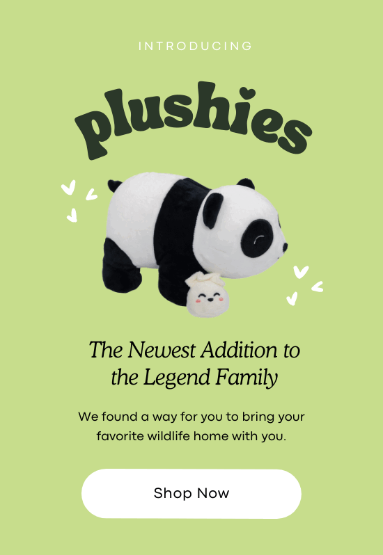 Just LAUNCHED Legend Plushies! Legend Bracelet