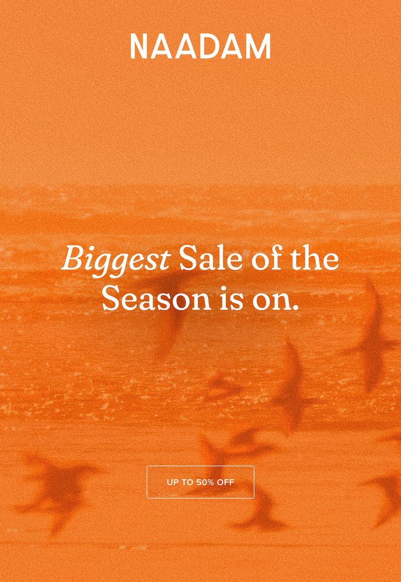 cashmere sale 50% off