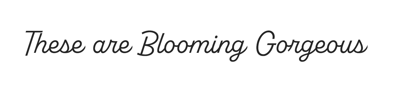 These New Arrivals are Blooming Gorgeous