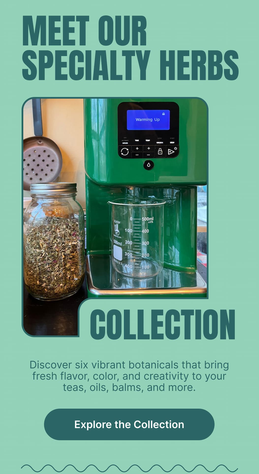 MEET OUR SPECIALTY HERBS COLLECTION Discover six vibrant botanicals that bring fresh flavor, color, and creativity to your teas, oils, balms, and more. [Explore the Collection]