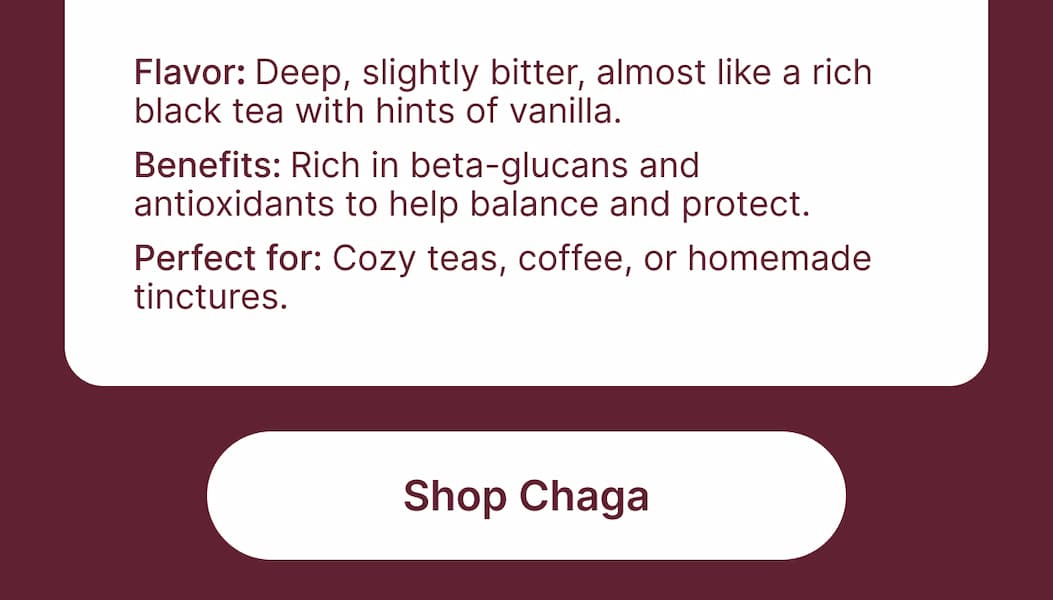 Flavor: Deep, slightly bitter, almost like a rich black tea with hints of vanilla. Benefits: Rich in beta-glucans and antioxidants to help balance and protect. Perfect for: Cozy teas, coffee, or homemade tinctures.  [Shop Chaga]