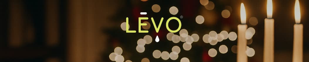 LEVO Logo Header