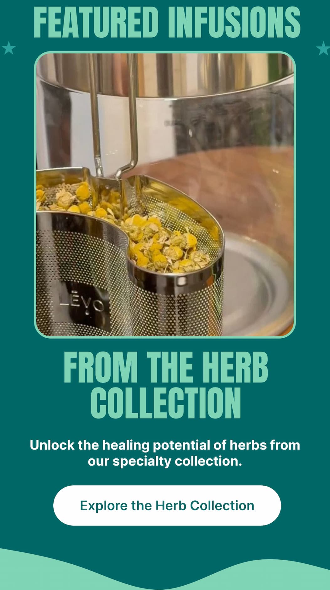 FEATURED INFUSIONS From the Herb Collection Unlock the healing potential of herbs from our specialty collection. [Explore the Herb Collection]