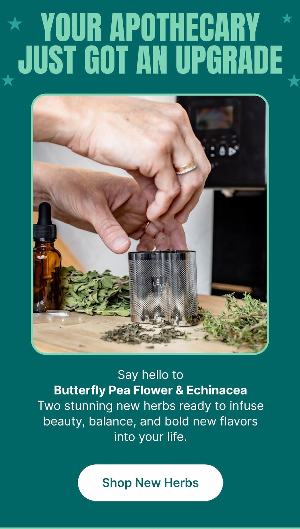 YOUR APOTHECARY JUST GOT AN UPGRADE Say hello to Butterfly Pea Flower & Echinacea Two stunning new herbs ready to infuse beauty, balance, and bold new flavors into your life. [Shop New Herbs]