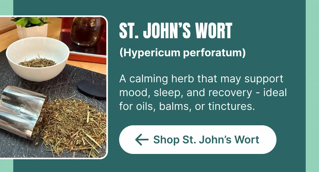 ST. JOHN’S WORT (Hypericum perforatum) A calming herb that may support mood, sleep, and recovery – ideal for oils, balms, or tinctures. [Shop St. John’s Wort]