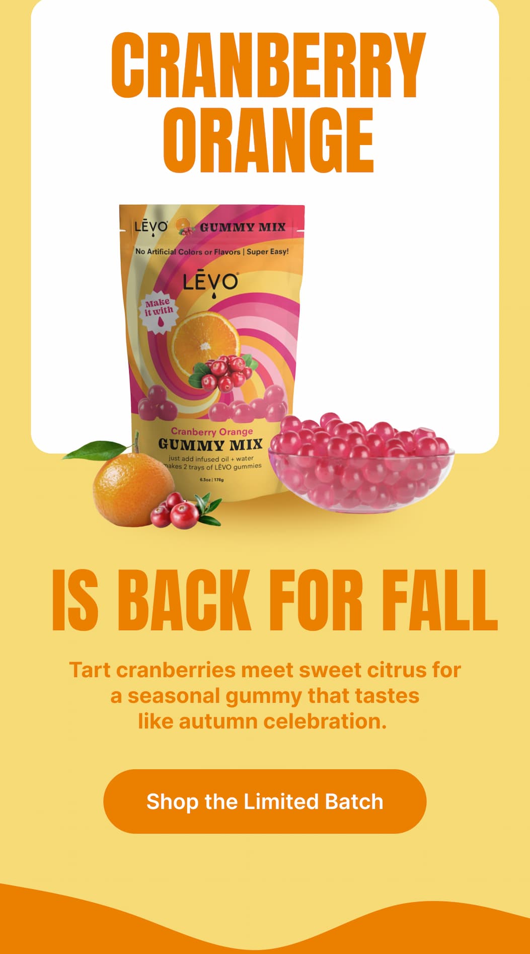 CRANBERRY ORANGE IS BACK FOR FALL Tart cranberries meet sweet citrus for a seasonal gummy that tastes like autumn celebration. [Shop the Limited Batch]