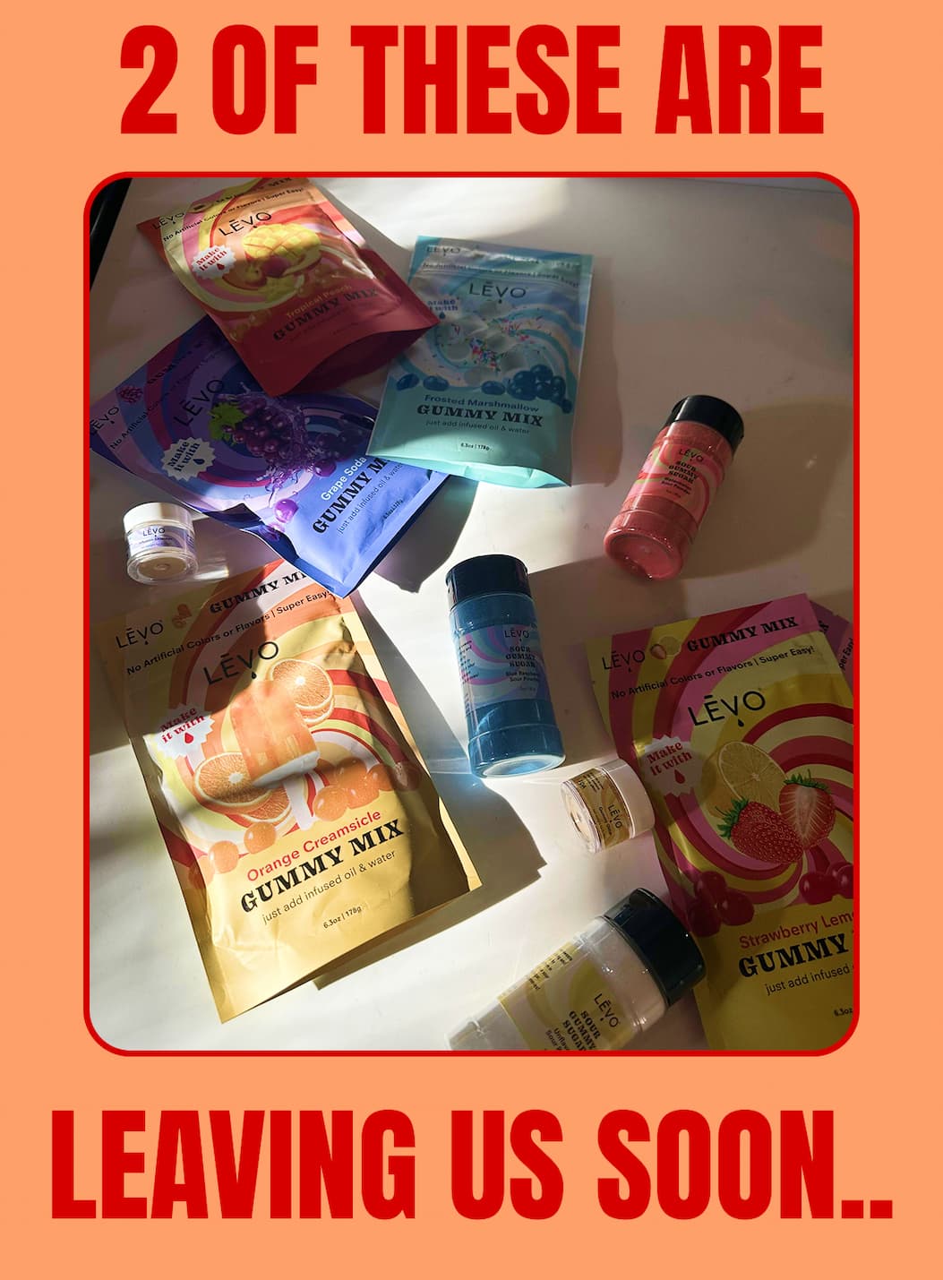 2 OF THESE ARE LEAVING US SOON..