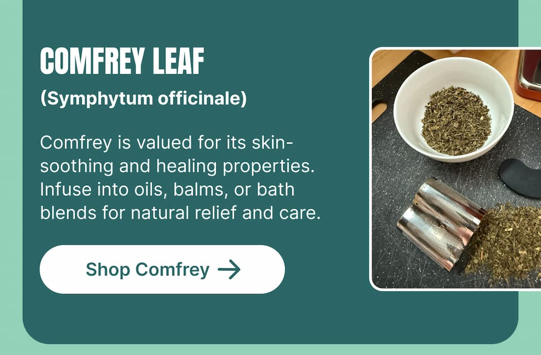 COMFREY LEAF (Symphytum officinale) Comfrey is valued for its skin-soothing and healing properties. Infuse into oils, balms, or bath blends for natural relief and care. [Shop Comfrey]