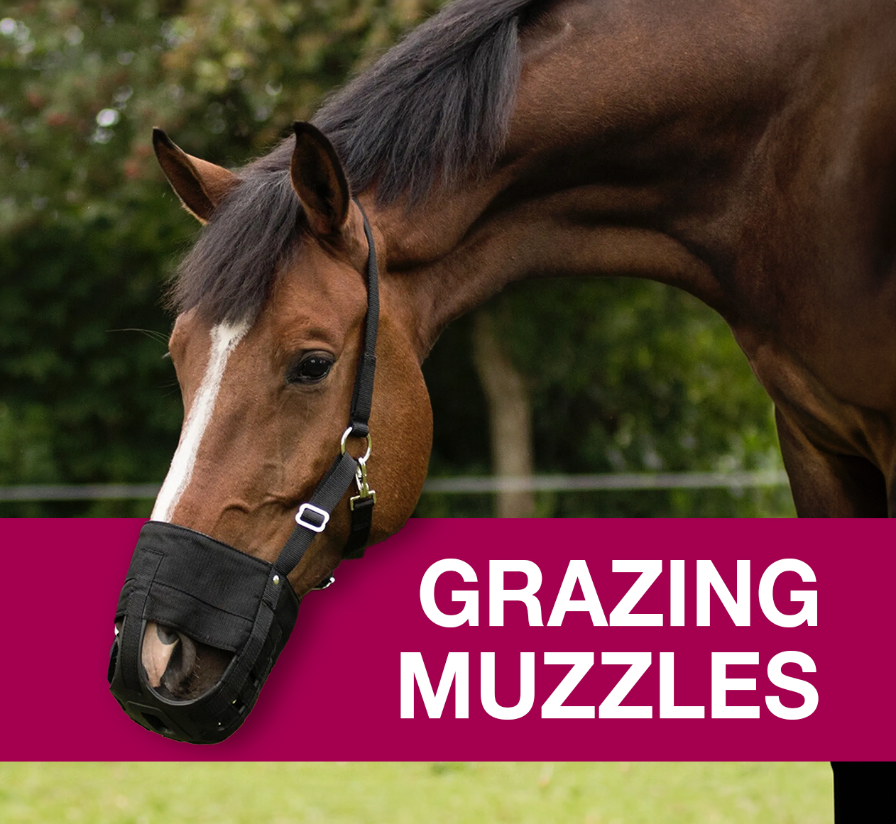 The BEST grazing muzzles for your horse 🐴 Equus England