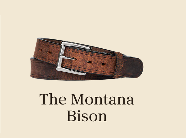 Montana Bison