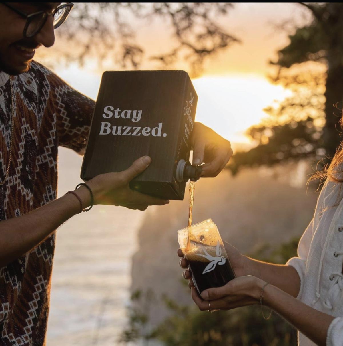 Fridge Box Taps Sail Away Coffee  Nitro Cold Brew