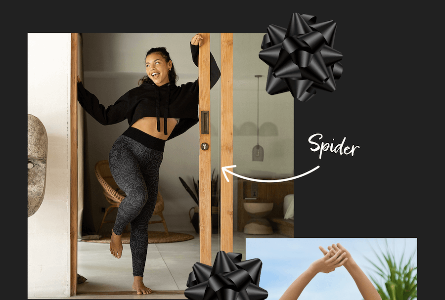 Spider