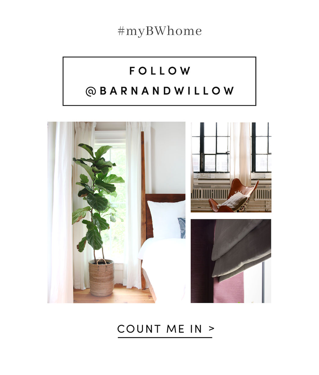 Link to Barn & Willow's Instagram
