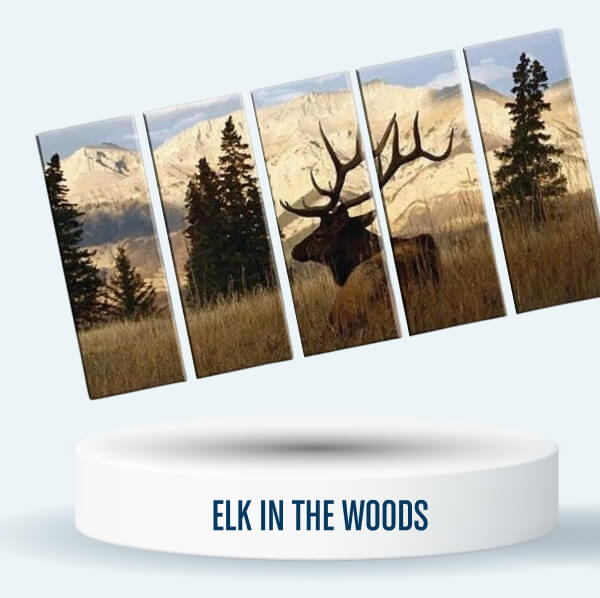 Elk in the woods 