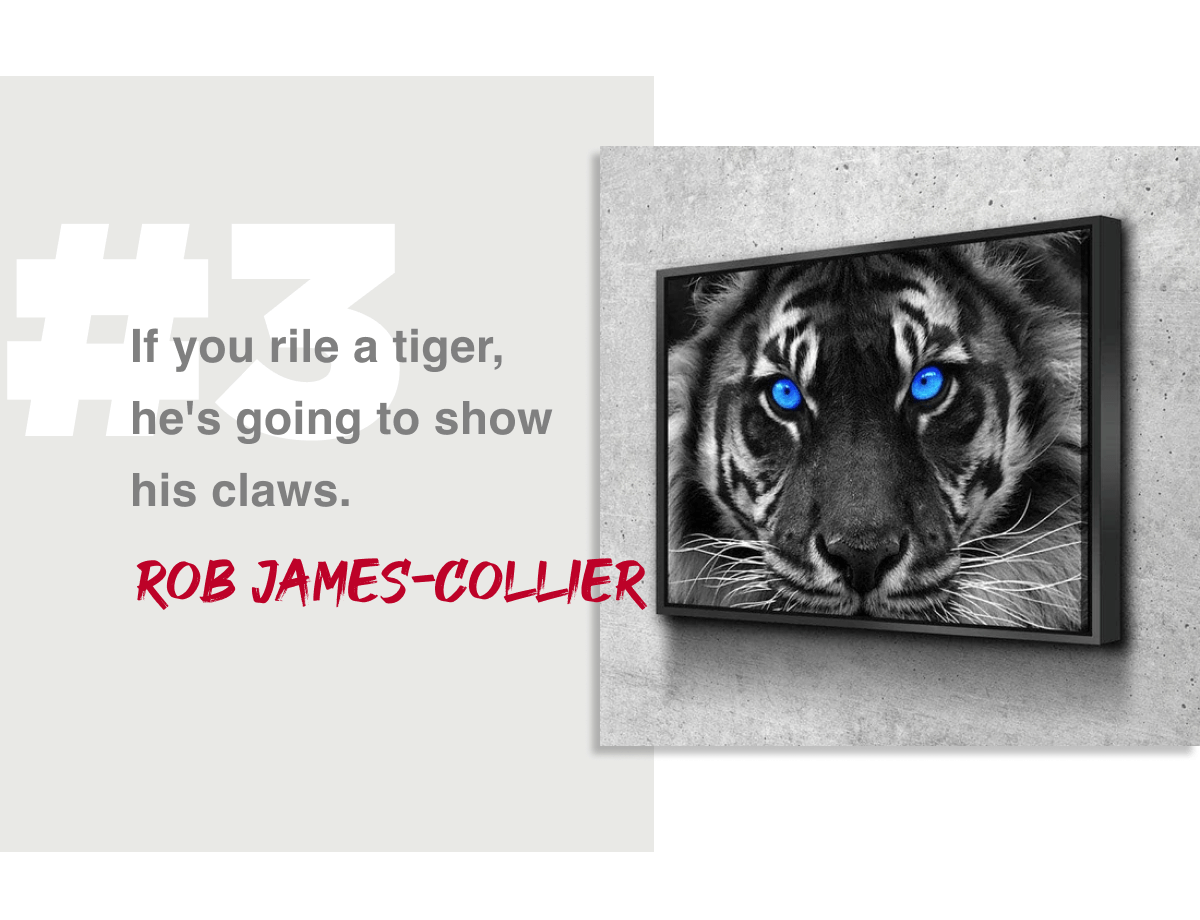 If you rile a tiger, he's going to show his claws.-- Rob James-Collier