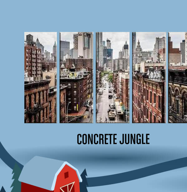 Concrete Jungle 