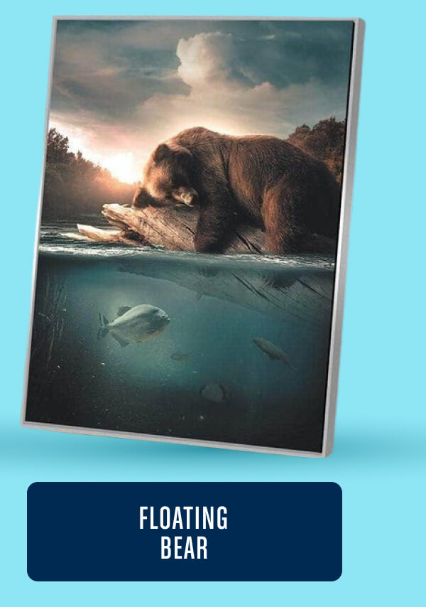 Floating Bear 