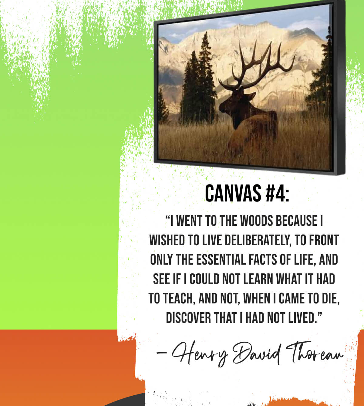 I went to the woods because I wished to live deliberately, to front only the essential facts of life, and see if I could not learn what it had to teach, and not, when I came to die, discover that I had not lived. - Henry David Thoreau