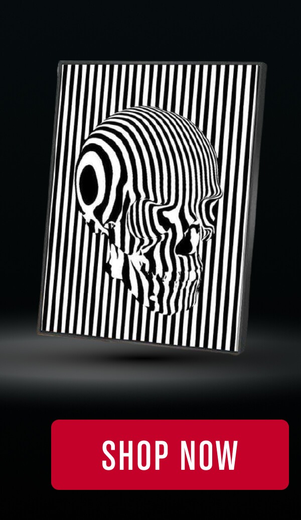 BARCODE BRAINS CANVAS SET