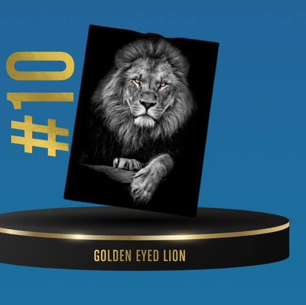 Golden Eyed Lion (470 sold!)