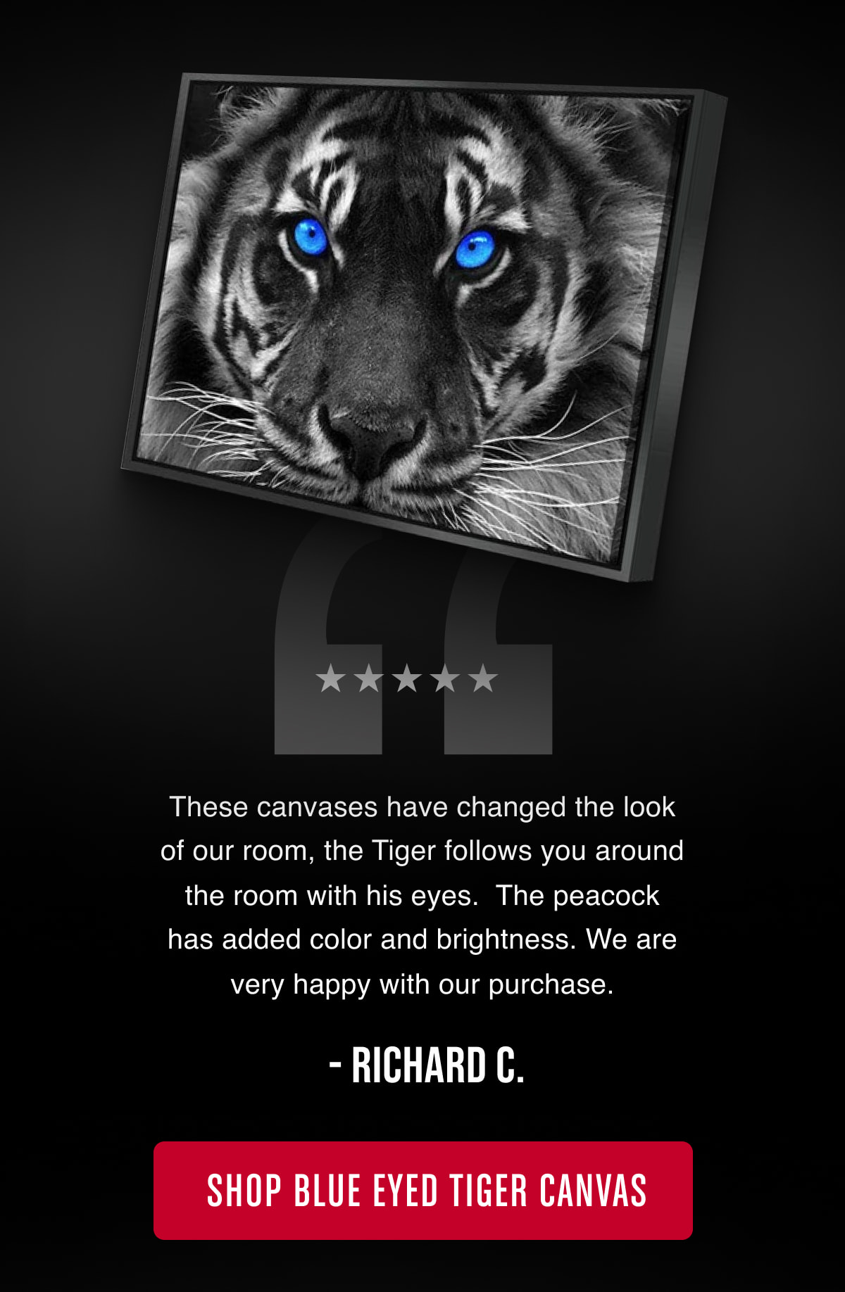 “These canvases have changed the look of our room, the Tiger follows you around the room with his eyes.  The peacock has added color and brightness. We are very happy with our purchase.” - Richard C