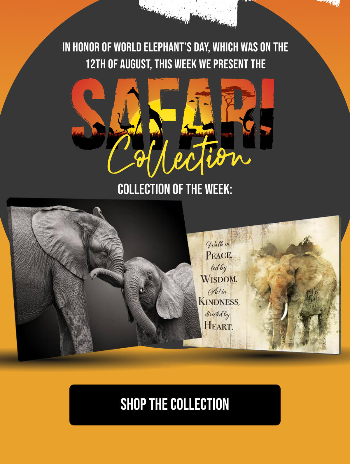 In honor of World Elephant’s Day, which was on the 12th of August, this week we present the safari collection
