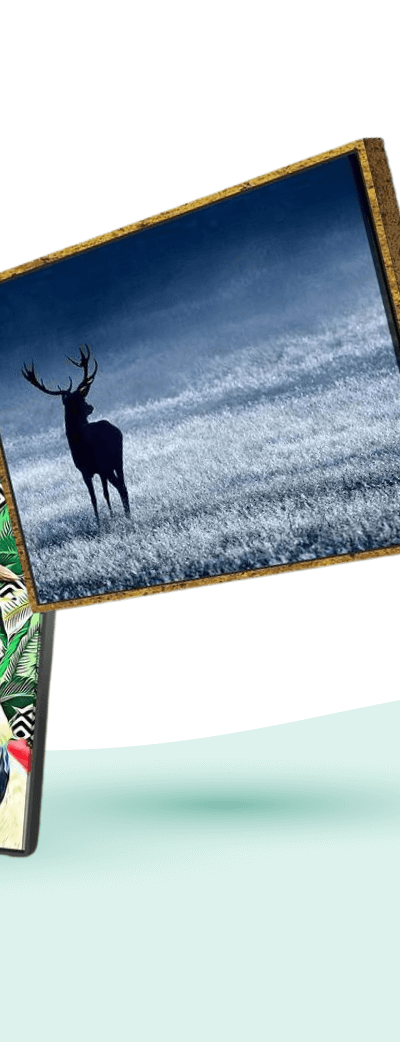 DEER ANTICIPATION CANVAS SET