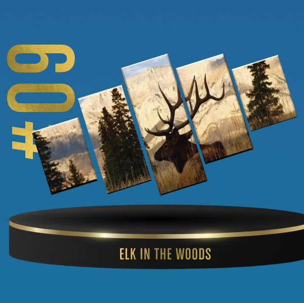 Elk in the Woods (476 sold!)