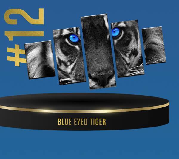 Blue Eyed Tiger (418 sold!)