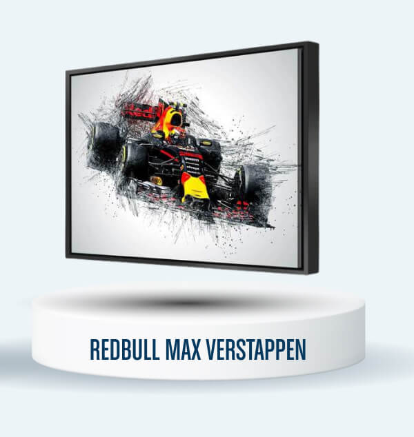 Red Bull Max Verstappen Set