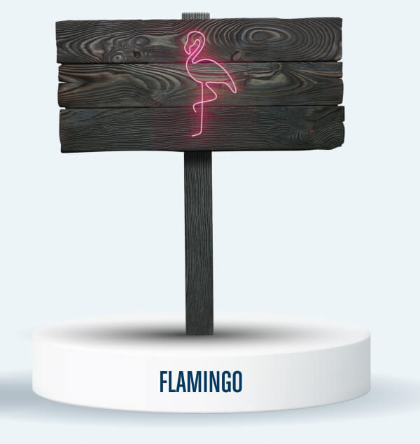 Flamingo Product Neon Sign