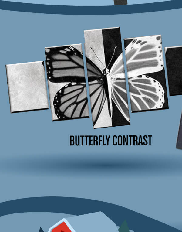 BUTTERFLY CONTRAST CANVAS SET