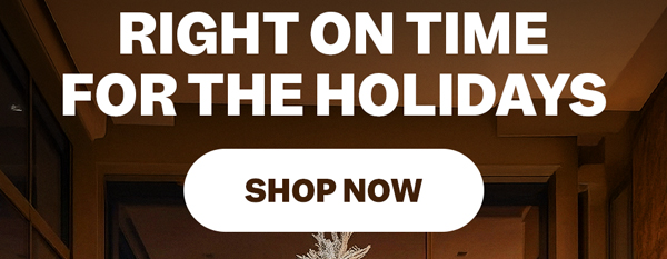 Right On Time For The Holidays | Shop Now