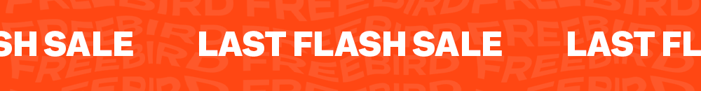 Last Flash Sale